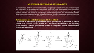 El ácido lisérgico, también conocido como ácido D-lisérgico o (+)-ácido lisérgico, es un precursor para
una amplia gama de alcaloides de ergolina que son producidos por el hongo del cornezuelo de centeno
y que además también se encuentra en las semillas de la turbina corymbosa, nervosa argyreia y
Ipomoea violacea. Las amidas de ácido lisérgico, llamadas lisergamidas, son ampliamente utilizados
como productos farmacéuticos y como drogas psicodélicas, como el LSD. El ácido lisérgico recibió este
nombre ya que era un producto de la “lisis” de diversos alcaloides del cornezuelo del centeno.
Determinación del ácido lisérgico por el test de Erhlich
La manera de determinar químicamente estos precursores es mediante el test de
Ehrlich, que consiste en una mezcla de 4-dimetilaminobenzaldehído en metanol y
ácido fosfórico. Los tres precursores forman un compuesto violeta, un carbocatión
estable por resonancia.
LA MANERA DE DETERMINAR QUÍMICAMENTE
 