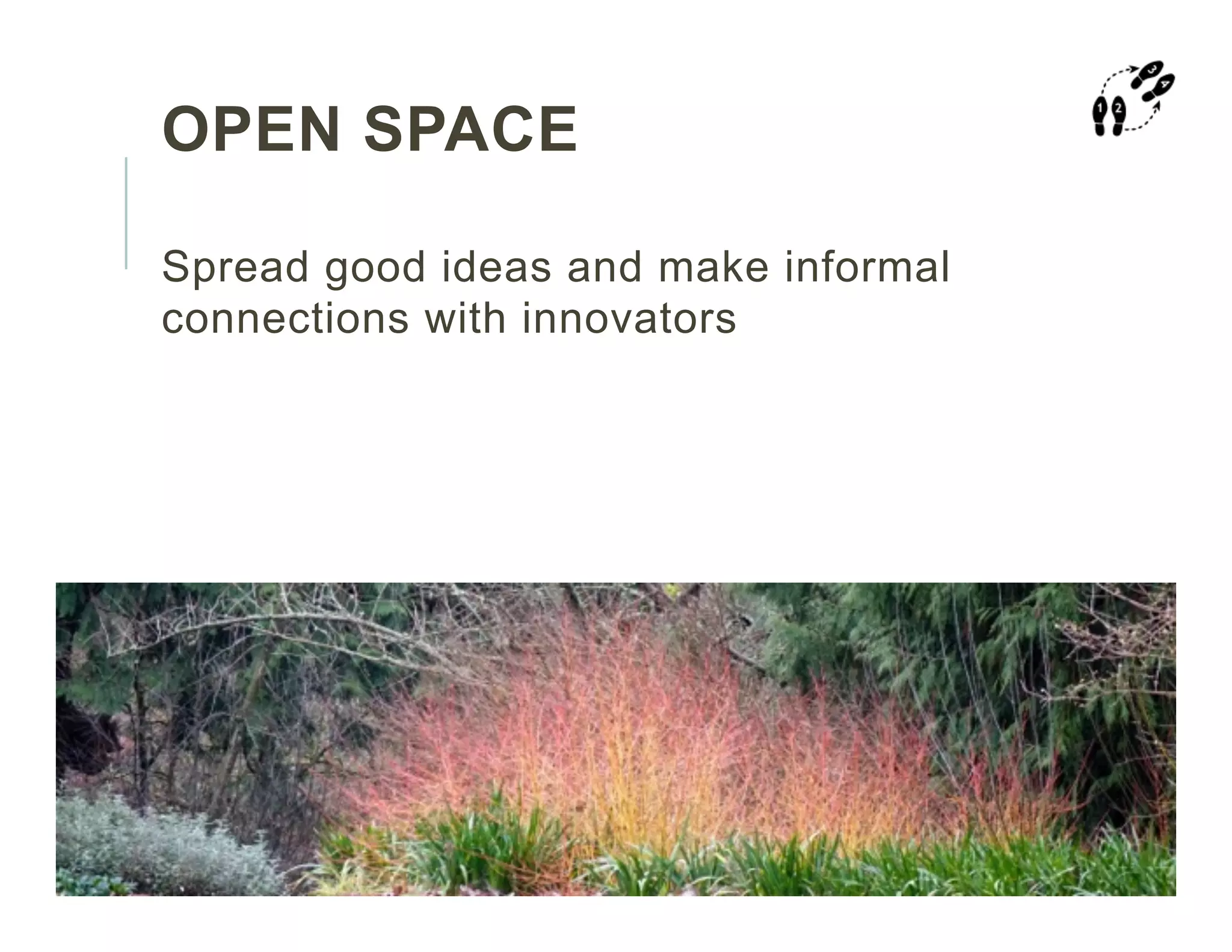 OPEN SPACE
Spread good ideas and make informal
connections with innovators
 