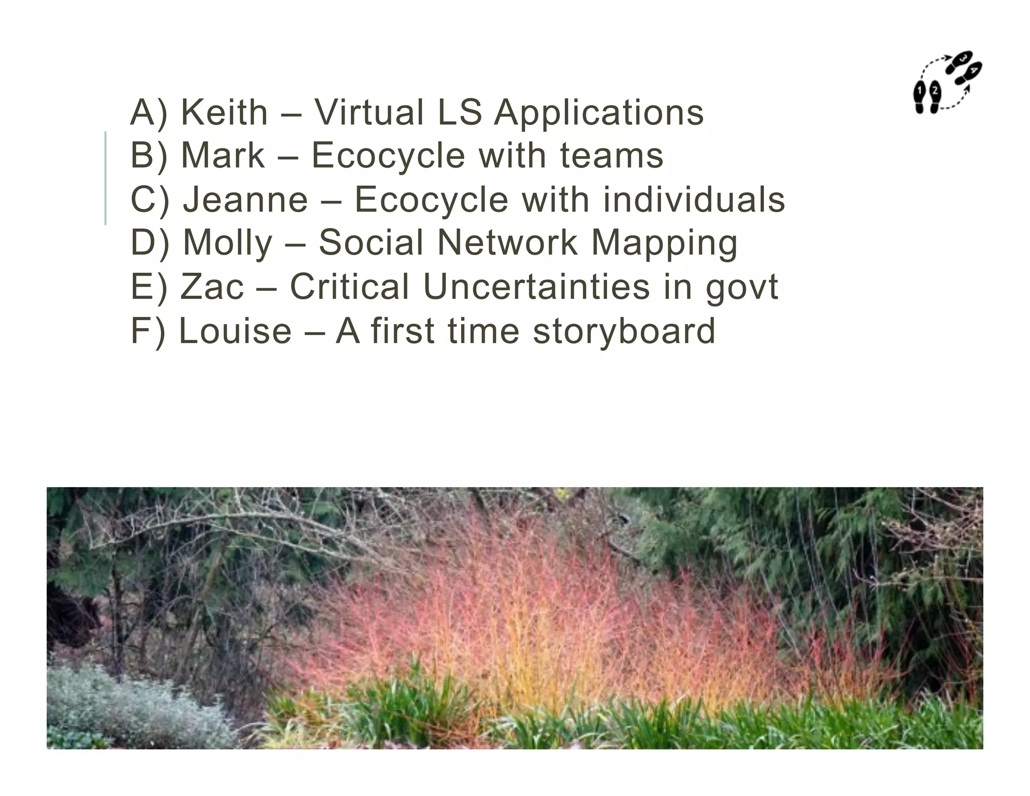 A) Keith – Virtual LS Applications
B) Mark – Ecocycle with teams
C) Jeanne – Ecocycle with individuals
D) Molly – Social Network Mapping
E) Zac – Critical Uncertainties in govt
F) Louise – A first time storyboard
 
