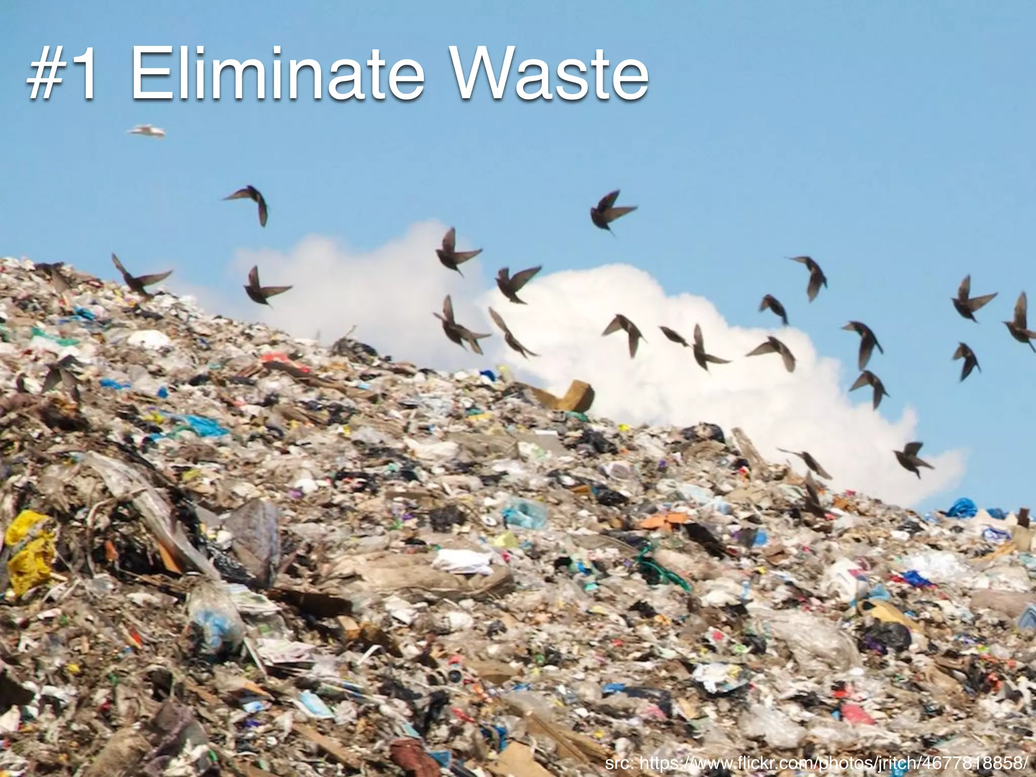 #1 Eliminate Waste
src: https://www.ﬂickr.com/photos/jritch/4677818858/
 