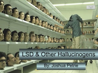 LSD & Other Hallucinogens By: Joshua Petrie 