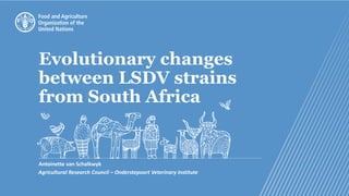 Evolutionary changes
between LSDV strains
from South Africa
Antoinette van Schalkwyk
Agricultural Research Council – Onderstepoort Veterinary Institute
 
