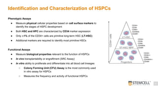 Hspcs Development Optimizing CD34+ Cell Genome Editing for Efficiency and HSPC ...