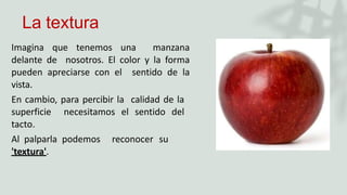 Imagina que tenemos una manzana
delante de nosotros. El color y la forma
pueden apreciarse con el sentido de la
vista.
En cambio, para percibir la calidad de la
superficie necesitamos el sentido del
tacto.
Al palparla podemos reconocer su
'textura'.
La textura
 