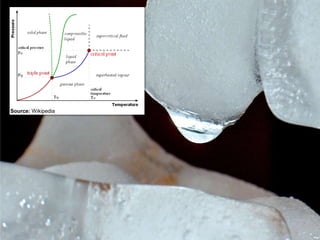 Collapse dynamics: Phase transitions in complex social systems