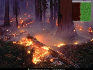 Collapse dynamics: Phase transitions in complex social systems