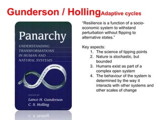 Collapse dynamics: Phase transitions in complex social systems