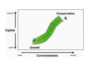 Collapse dynamics: Phase transitions in complex social systems