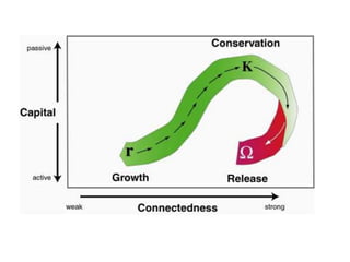 Collapse dynamics: Phase transitions in complex social systems