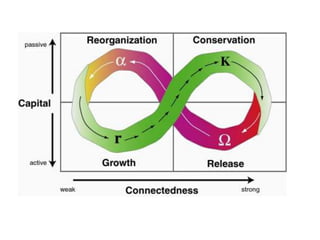 Collapse dynamics: Phase transitions in complex social systems