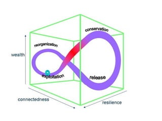 Collapse dynamics: Phase transitions in complex social systems