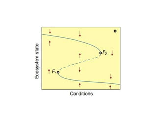 Collapse dynamics: Phase transitions in complex social systems
