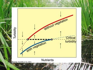 Collapse dynamics: Phase transitions in complex social systems