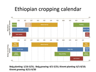 Integrated agricultural system, migration, and social protection strategies to reduce vulnerability to climate change in East Africa