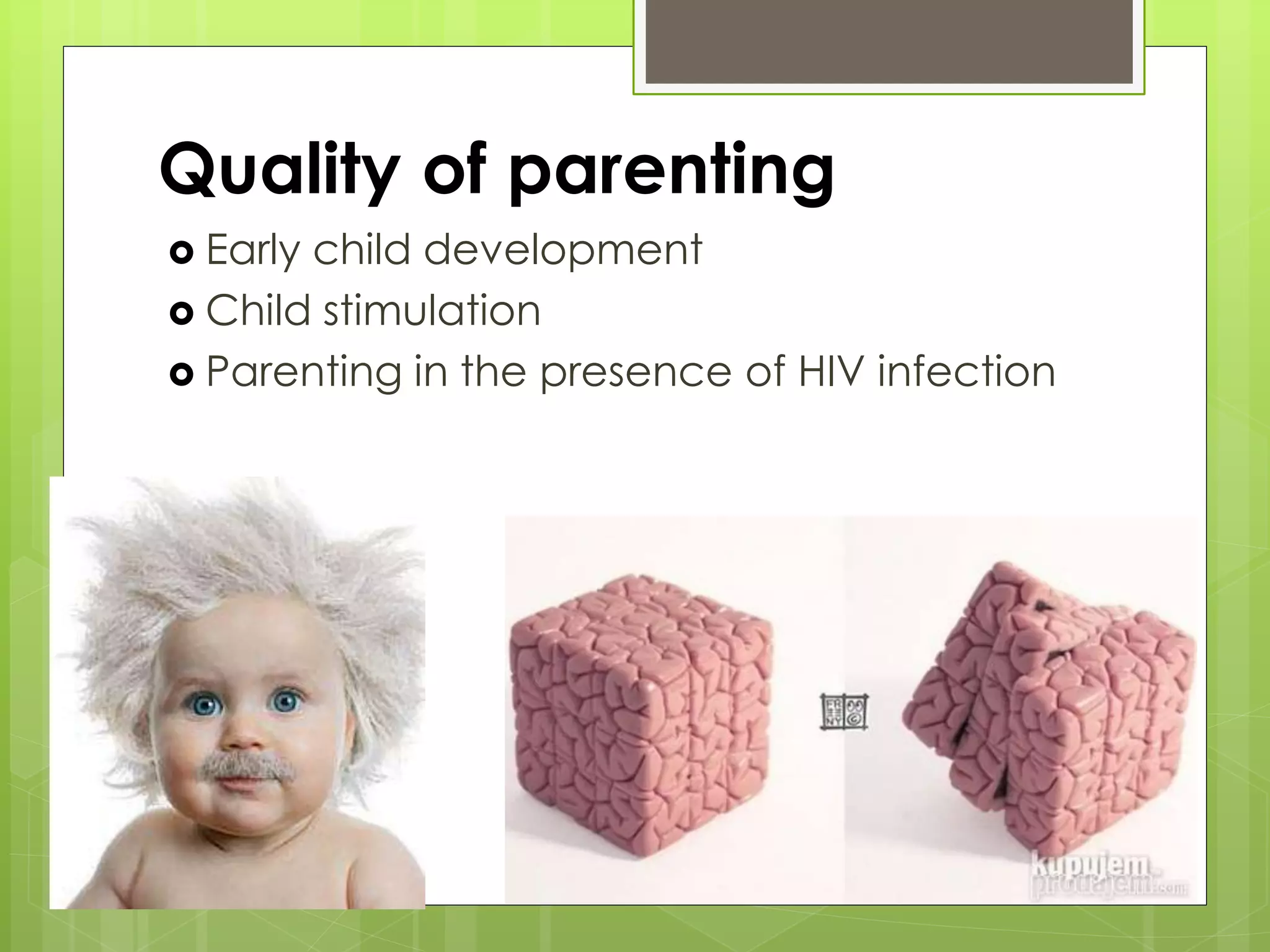 Quality of parenting 
 Early child development 
 Child stimulation 
 Parenting in the presence of HIV infection 
 