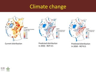 Rift Valley fever in East Africa: Factors driving emergence, potential interventions and challenges to effective control 
