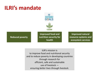 Rift Valley fever in East Africa: Factors driving emergence, potential interventions and challenges to effective control 