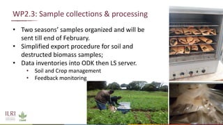 Legume SELECT-Ethiopia: Progress, achievements and challenges in 2020