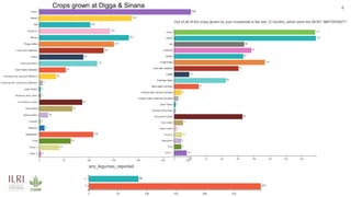 Legume SELECT-Ethiopia: Progress, achievements and challenges in 2020