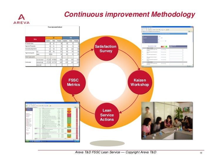 An Introduction To Areva T U0026d Fssc Lean Service