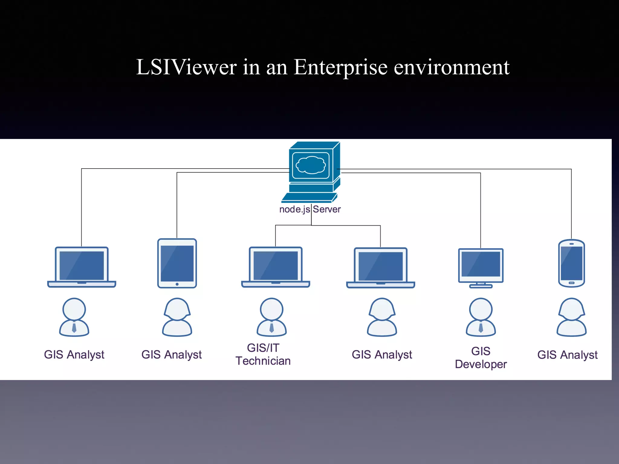 LSIViewer in an Enterprise environment
 