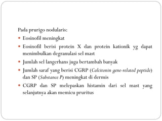 Pada prurigo nodularis:
 Eosinofil meningkat
 Eosinofil berisi protein X dan protein kationik yg dapat
menimbulkan degranulasi sel mast
 Jumlah sel langerhans juga bertambah banyak
 Jumlah saraf yang berisi CGRP (Calcitonin gene-related peptide)
dan SP (Substance P) meningkat di dermis
 CGRP dan SP melepaskan histamin dari sel mast yang
selanjutnya akan memicu pruritus
 