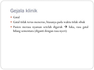 Gejala klinik
 Gatal
 Gatal tidak terus menerus, biasanya pada waktu tidak sibuk
 Pasien merasa nyaman setelah digaruk  luka, rasa gatal
hilang sementara (diganti dengan rasa nyeri)
 