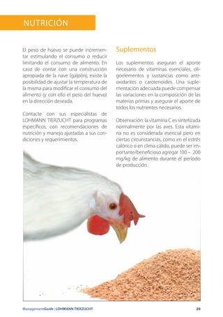 ManagementGuide | LOHMANN TIERZUCHT 20
El peso de huevo se puede incremen-
tar estimulando el consumo o reducir
limitando el consumo de alimento. En
caso de contar con una construcción
apropiada de la nave (galpón), existe la
posibilidad de ajustar la temperatura de
la misma para modificar el consumo del
alimento (y con ello el peso del huevo)
en la dirección deseada.
Contacte con sus especialistas de
LOHMANN TIERZUCHT para programas
específicos, con recomendaciones de
nutrición y manejo ajustadas a sus con-
diciones y requerimientos.
Suplementos
Los suplementos aseguran el aporte
necesario de vitaminas esenciales, oli-
goelementos y sustancias como anti-
oxidantes o carotenoides. Una suple-
mentación adecuada puede compensar
las variaciones en la composición de las
materias primas y asegurar el aporte de
todos los nutrientes necesarios.
Observación: la vitamina C es sintetizada
normalmente por las aves. Esta vitami-
na no es considerada esencial pero en
ciertas circunstancias, como en el estrés
calórico o en clima cálido, puede ser im-
portante/beneficioso agregar 100 – 200
mg/kg de alimento durante el período
de producción.
Nutrición
 