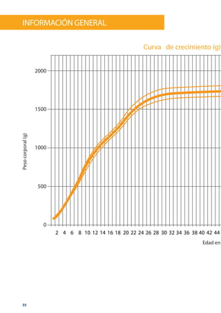 35
Pesocorporal(g)información General
Curva de crecimiento (g)
Edad en
2000
1500
1000
500
0
2 4 6 8 10 12 14 16 18 20 22 24 26 28 30 32 34 36 38 40 42 44
 