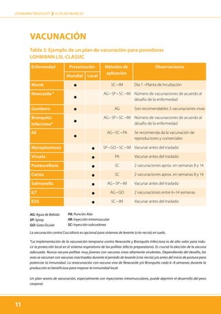 Tabla 3: Ejemplo de un plan de vacunación para ponedoras
LOHMANN LSL-CLASSIC
11
LOHMANN TIERZUCHT › guía de manejo
11
Enfermedad Presentación Métodos de
aplicación
Observaciones
Mundial Local
Marek SC – IM Día 1 –Planta de Incubación
Newcastle * AG – SP – SC – IM Número de vacunaciones de acuerdo al
desafío de la enfermedad
Gumboro AG Son recomendables 2 vacunaciones vivas
Bronquitis
Infecciosa*
AG – SP – SC – IM Número de vacunaciones de acuerdo al
desafío de la enfermedad
AE AG – SC – PA Se recomienda da la vacunación de
reproductores y comerciales
Mycoplasmosis SP – GO – SC – IM Vacunar antes del traslado
Viruela PA Vacunar antes del traslado
Pasteurellosis SC 2 vacunaciones aprox. en semanas 8 y 14
Coriza SC 2 vacunaciones aprox. en semanas 8 y 14
Salmonella AG – SP – IM Vacunar antes del traslado
ILT AG – GO 2 vacunaciones entre 6–14 semanas
EDS SC – IM Vacunar antes del traslado
*La implementación de la vacunación temprana contra Newcastle y Bronquitis Infecciosa es de alto valor para indu-
cir la protección local en el sistema respiratorio de las pollitas (efecto preparatorio). Es crucial la elección de la vacuna
adecuada. Nunca vacune pollitas muy jóvenes con vacunas vivas altamente virulentas. Dependiendo del desafío, las
aves se vacunan con vacunas inactivadas durante el período de levante (cría-recría) y/o antes del inicio de postura para
potenciar la inmunidad. La revacunación con vacuna viva de Newcastle y/o Bronquitis cada 6–8 semanas durante la
producción es beneficiosa para mejorar la inmunidad local.
Un plan severo de vacunación, especialmente con inyecciones intramusculares, puede deprimir el desarrollo del peso
corporal.
AG: Agua de Bebida
SP: Spray
GO: Gota Ocular
PA: Punción Alar
IM: Inyección intramuscular
SC: Inyección subcutánea
La vacunación contra Coccidiosis es opcional para sistemas de levante (cría-recría) en suelo.
Vacunación
 