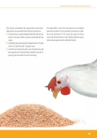 16
LOHMANN TIERZUCHT › Guía de manejo
16
Por favor considere las siguientes recomen-
daciones al usar alimento de pre-postura:
›› Comience a usarlo dependiendo de la ma-
durez sexual, edad y peso corporal de las
aves.
›› Utilícelo durante aproximadamente 10 días
con un máximo de 1 kg por ave.
›› La forma incorrecta de usar el alimento de
pre-postura es comenzar a darlo muy tem-
prano y/o durante mucho tiempo.
Por ejemplo, si el inicio de postura se espera
para la semana 19, se puede comenzar a dar-
lo en la semana 17. En caso de que el inicio
sea más temprano o más tardío deberá ajus-
tarse la programación del alimento.
 