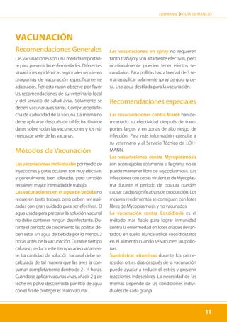 11
LOHMANN › GUÍA DE MANEJO
11
VACUNACIÓN
Recomendaciones Generales
Las vacunaciones son una medida importan-
te para prevenir las enfermedades. Diferentes
situaciones epidémicas regionales requieren
programas de vacunación específicamente
adaptados. Por esta razón observe por favor
las recomendaciones de su veterinario local
y del servicio de salud aviar. Sólamente se
deben vacunar aves sanas. Compruebe la fe-
cha de caducidad de la vacuna. La misma no
debe aplicarse después de tal fecha. Guarde
datos sobre todas las vacunaciones y los nú-
meros de serie de las vacunas.
Métodos de Vacunación
Lasvacunacionesindividualespormediode
inyecciones y gotas oculares son muy efectivas
y generalmente bien toleradas, pero también
requieren mayor intensidad de trabajo.
Las vacunaciones en el agua de bebida no
requieren tanto trabajo, pero deben ser reali-
zadas con gran cuidado para ser efectivas. El
agua usada para preparar la solución vacunal
no debe contener ningún desinfectante. Du-
rante el período de crecimiento las pollitas de-
ben estar sin agua de bebida por lo menos 2
horas antes de la vacunación. Durante tiempo
caluroso, reducir este tiempo adecuadamen-
te. La cantidad de solución vacunal debe ser
calculada de tal manera que las aves la con-
suman completamente dentro de 2 – 4 horas.
Cuando se aplican vacunas vivas, añadir 2 g de
leche en polvo descremada por litro de agua
con el fin de proteger el título vacunal.
Las vacunaciones en spray no requieren
tanto trabajo y son altamente efectivas, pero
ocasionalmente pueden tener efectos se-
cundarios. Para pollitas hasta la edad de 3 se-
manas aplicar solamente spray de gota grue-
sa. Use agua destilada para la vacunación.
Recomendaciones especiales
Las revacunaciones contra Marek han de-
mostrado su efectividad después de trans-
portes largos y en zonas de alto riesgo de
infección. Para más información consulte a
su veterinario y al Servicio Técnico de LOH-
MANN.
Las vacunaciones contra Mycoplasmosis
son aconsejables solamente si la granja no se
puede mantener libre de Mycoplasmosis. Las
infecciones con cepas virulentas de Mycoplas-
ma durante el período de postura pueden
causar caídas significativas de producción. Los
mejores rendimientos se consiguen con lotes
libres de Mycoplasmosis y no vacunados.
La vacunación contra Coccidiosis es el
método más fiable para lograr inmunidad
contra la enfermedad en lotes criados (levan-
tados) en suelo. Nunca utilice coccidiostatos
en el alimento cuando se vacunen las pollo-
nas.
Suministrar vitaminas durante los prime-
ros dos o tres días después de la vacunación
puede ayudar a reducir el estrés y prevenir
reacciones indeseables. La necesidad de las
mismas depende de las condiciones indivi-
duales de cada granja.
 