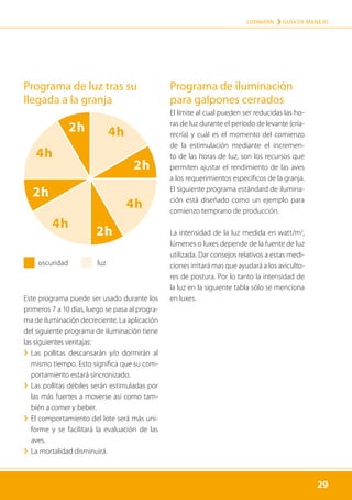 29
LOHMANN › GUÍA DE MANEJO
29
Este programa puede ser usado durante los
primeros 7 a 10 días, luego se pasa al progra-
ma de iluminación decreciente. La aplicación
del siguiente programa de iluminación tiene
las siguientes ventajas:
	
› 
Las pollitas descansarán y/o dormirán al
mismo tiempo. Esto significa que su com-
portamiento estará sincronizado.
	
› 
Las pollitas débiles serán estimuladas por
las más fuertes a moverse así como tam-
bién a comer y beber.
	
› 
El comportamiento del lote será más uni-
forme y se facilitará la evaluación de las
aves.
	
› La mortalidad disminuirá.
El límite al cual pueden ser reducidas las ho-
ras de luz durante el período de levante (cría-
recría) y cuál es el momento del comienzo
de la estimulación mediante el incremen-
to de las horas de luz, son los recursos que
permiten ajustar el rendimiento de las aves
a los requerimientos específicos de la granja.
El siguiente programa estándard de ilumina-
ción está diseñado como un ejemplo para
comienzo temprano de producción.
La intensidad de la luz medida en watt/m2
,
lúmenes o luxes depende de la fuente de luz
utilizada. Dar consejos relativos a estas medi-
ciones irritará mas que ayudará a los aviculto-
res de postura. Por lo tanto la intensidad de
la luz en la siguiente tabla sólo se menciona
en luxes.
oscuridad luz
2h
2h
2h
4h
4h
4h
4h
Programa de luz tras su
llegada a la granja
Programa de iluminación
para galpones cerrados
2h
 