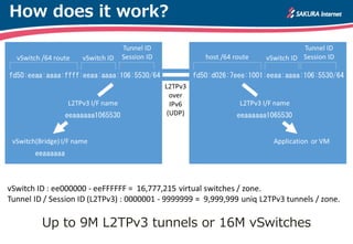 How does it work?
Up to 9M L2TPv3 tunnels or 16M vSwitches
 
