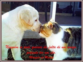 Ninguém se pode queixar da falta de um amigo, podendo ter um cão. Marquês de Maricá 