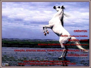 CRÉDITOS: TEXTO:  Conforme Créditos IMAGENS:  FLICKR MÚSICA INCIDENTAL:  Koleda Dla  Nieobecnych CRIAÇÃO, EFEITOS VISUAIS, FORMATAÇÃO E PRODUÇÃO:  LS lides PROTEGIDO PELA LEI DE DIREITOS AUTORAIS. VEDADA A REPRODUÇÃO SEM MENCIONAR OS AUTORES [email_address] 