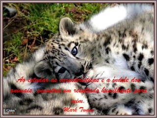 Ao estudar as características e a índole dos animais, encontrei um resultado humilhante para mim. Mark Twain 