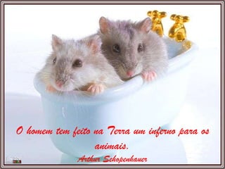 O homem tem feito na Terra um inferno para os animais. Arthur Schopenhauer 