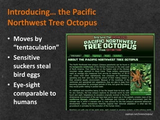 Introducing… the Pacific
Northwest Tree Octopus
• Moves by
  “tentaculation”
• Sensitive
  suckers steal
  bird eggs
• Eye-sight
  comparable to
  humans
                           zaptopi.net/treeoctopus/
 
