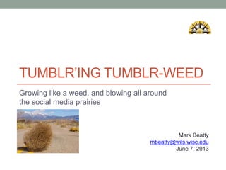 TUMBLR’ING TUMBLR-WEED
Growing like a weed, and blowing all around
the social media prairies
Mark Beatty
mbeatty@wils.wisc.edu
June 7, 2013
 