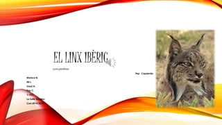 EL LINX IBÈRIC 
Lynx pardinus 
Pep Capdevila 
Mònica N. 
Nil L. 
Imad A. 
Pep C. 
1r ESO 
La Salle Manlleu 
Curs 2014/2015 
 
