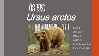 ÓS BRU 
Ursus arctos 
LAIA C 
JORDI A 
IMAD B 
AMINE H 
La Salle Manlleu 
Curs 2014-2015 
 