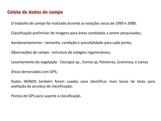 O trabalho de campo foi realizado durante as estações secas de 1999 e 2000;
Classificação preliminar de imagens para áreas candidatas a serem pesquisadas;
Aerolevantamento – tamanho, condição e acessibilidade para cada ponto;
Observações de campo - estrutura de estágios regenerativos;

Levantamento da vegetação - Cecropia sp., Vismia sp, Palmeiras, Gramínea, e Lianas
Áreas demarcadas com GPS;
Dados IKONOS também foram usados ​para identificar mais locais de teste para
avaliação da acurácia de classificação;
Pontos de GPS para suporte à classificação.

 