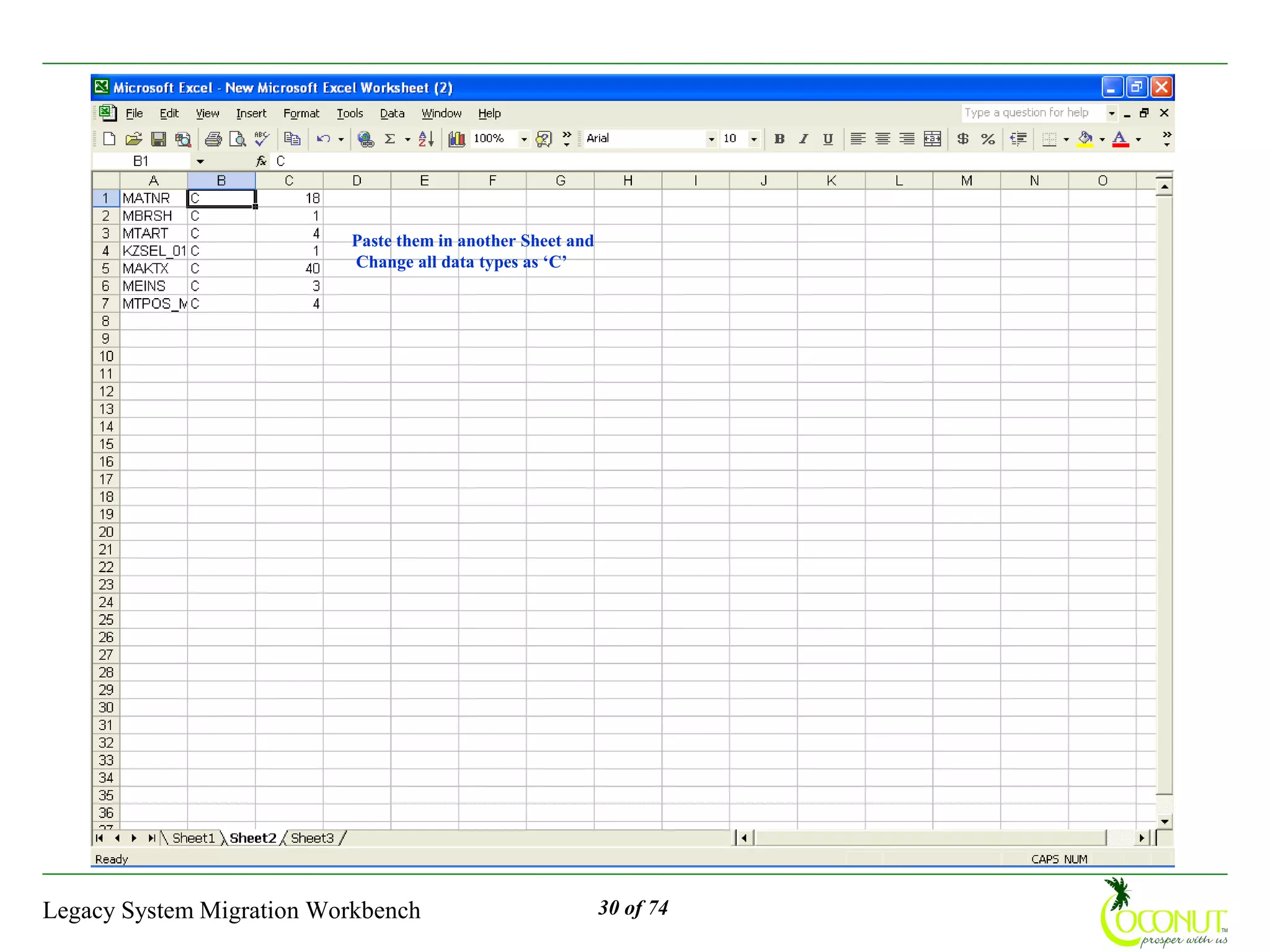 Paste them in another Sheet and
                          Change all data types as ‘C’




Legacy System Migration Workbench                           30 of 74
 