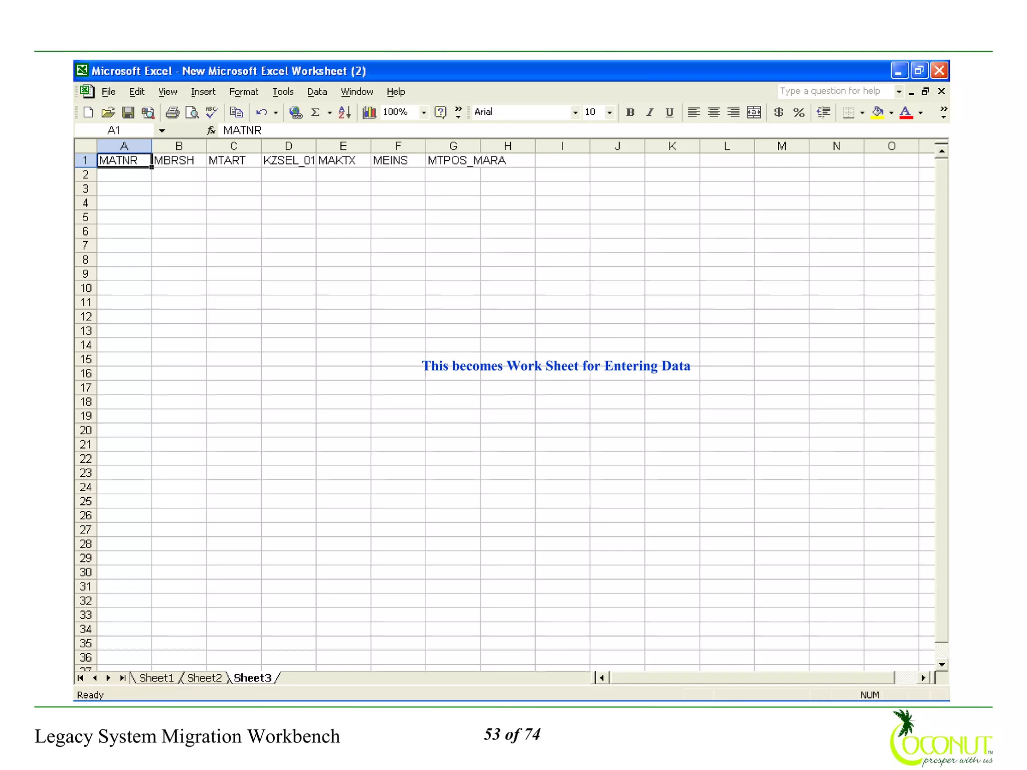 This becomes Work Sheet for Entering Data




Legacy System Migration Workbench            53 of 74
 