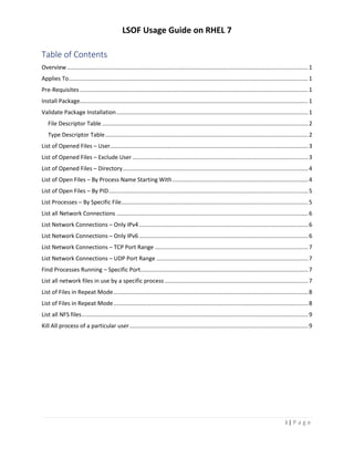 LSOF Usage Guide on RHEL 7
i | P a g e
Table of Contents
Overview............................................................
