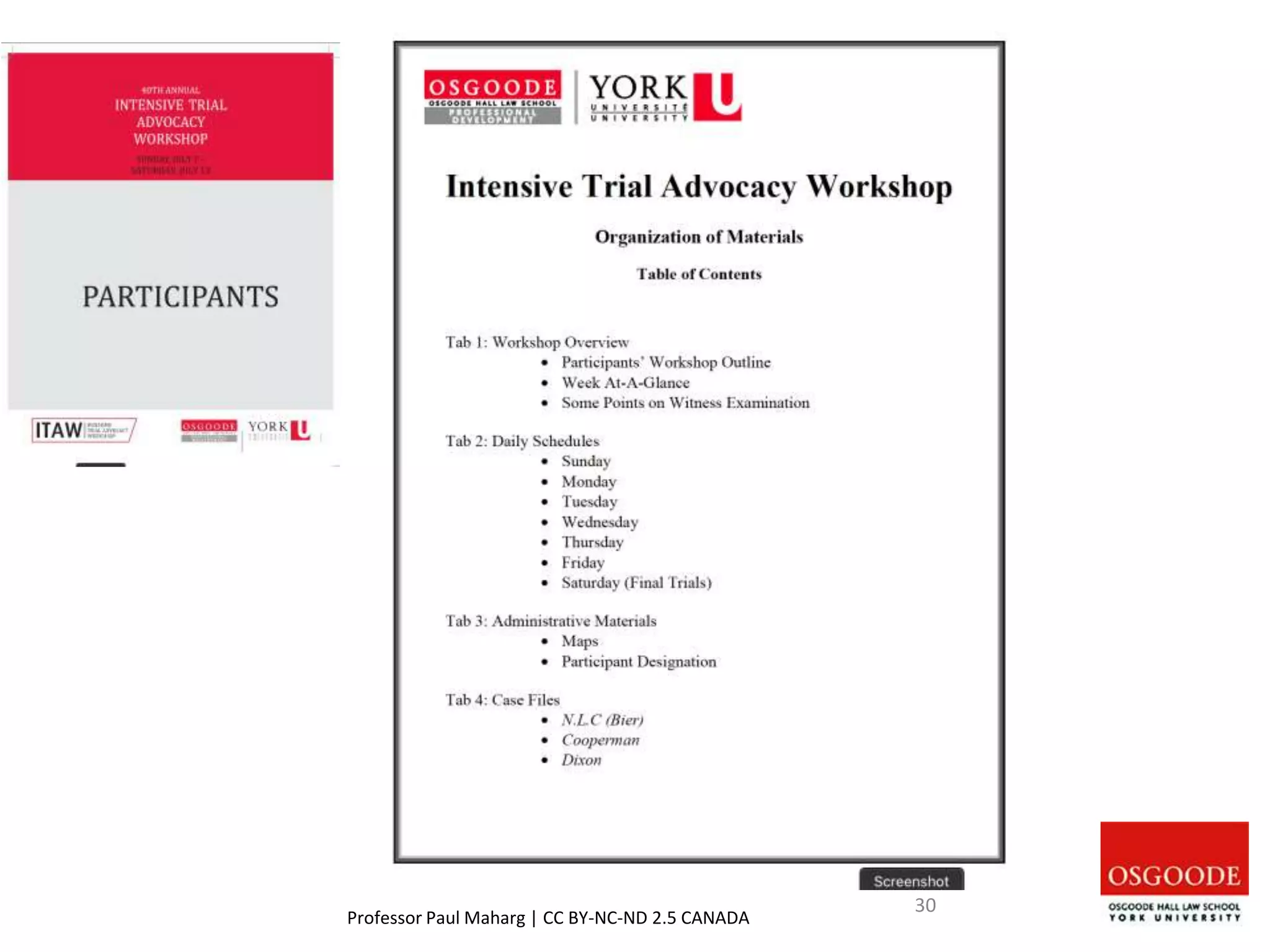 Professor Paul Maharg | CC BY-NC-ND 2.5 CANADA
30
 