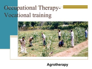Occupational Therapy-
Vocational training
Agrotherapy
 