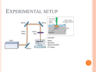 EXPERIMENTAL SETUP
 