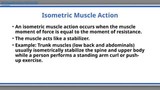 Isometric Muscle Function Musculoskeletal Anatomy for Exercise science | PPTX
